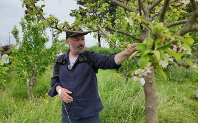 Shaping your inner landscape with sound and light therapy